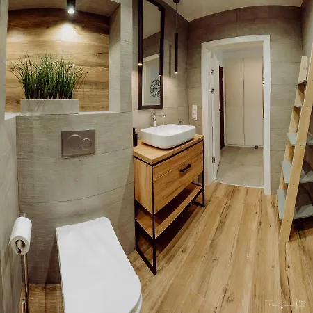 아파트 Apartament Silence Triventi Silver View 카르파츠