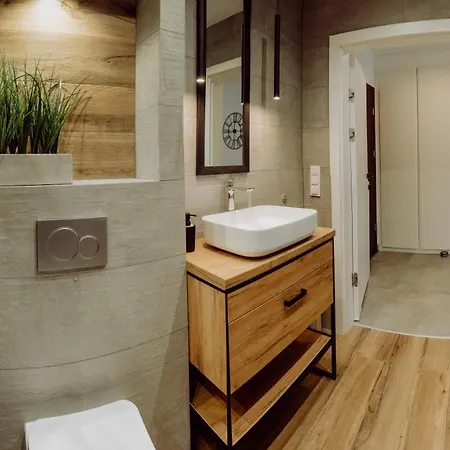 아파트 Apartament Silence Triventi Silver View 카르파츠